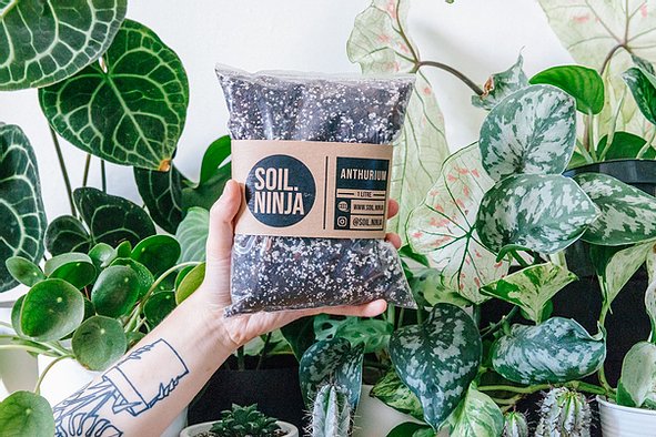 Premium Anthurium Soil Mix