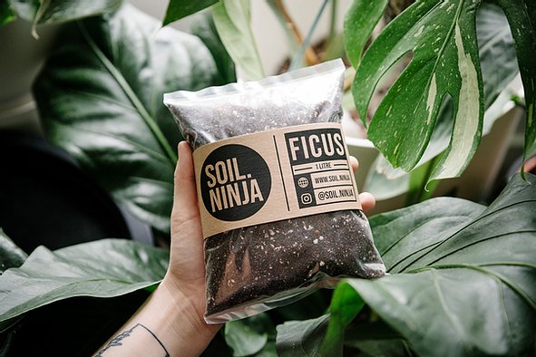 Premium Ficus Soil Mix